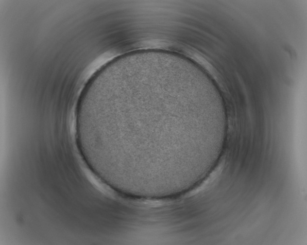 X0000115071034200911101258