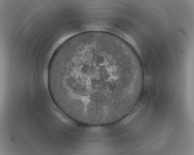 X0000115071035200911101258