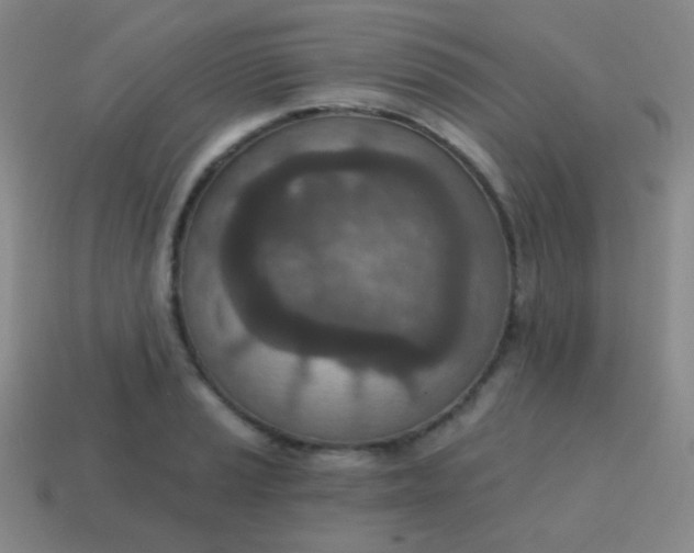 X0000115071037200911101259