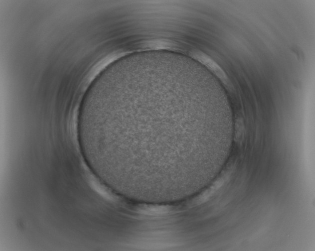 X0000115071039200911101259