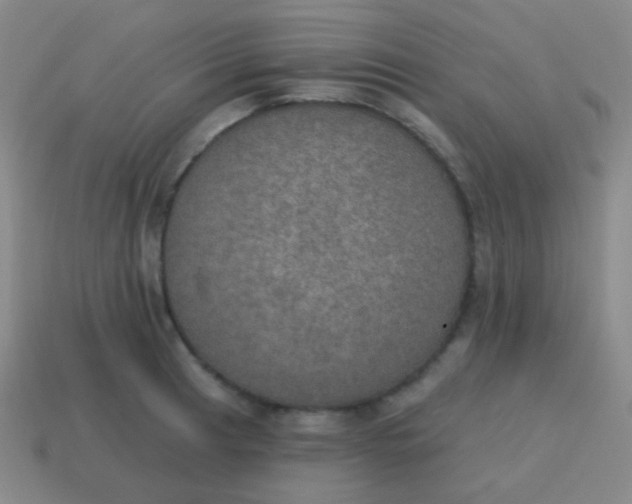 X0000115071041200911101259