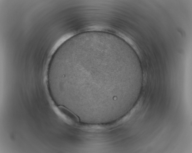 X0000115071042200911101259