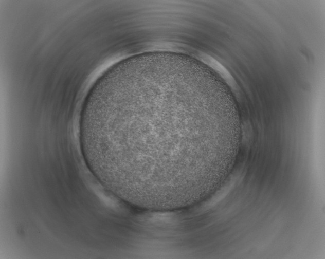 X0000115071043200911101259