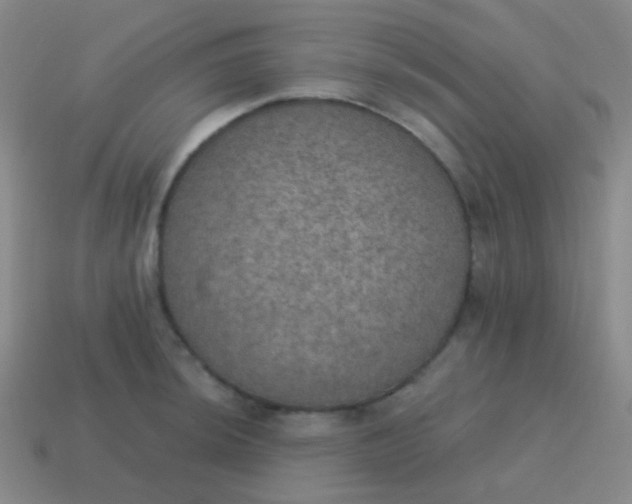 X0000115071044200911101259
