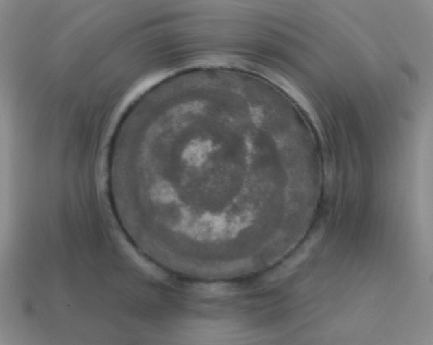 X0000115071045200911101259