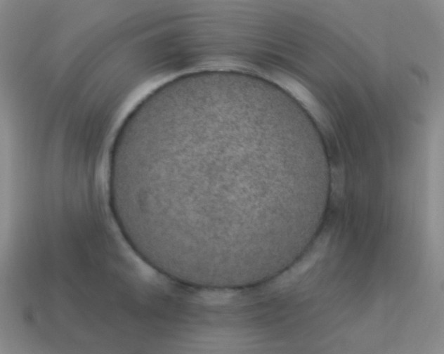 X0000115071046200911101259