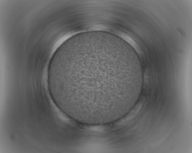 X0000115071047200911101259