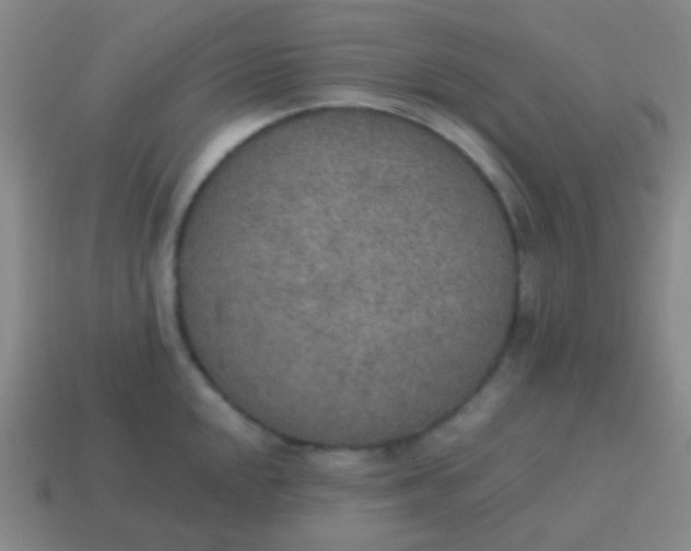 X0000115071048200911101259