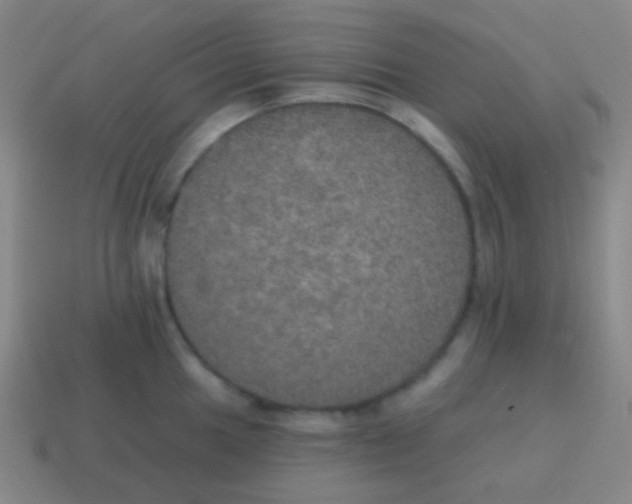 X0000115071049200911101259