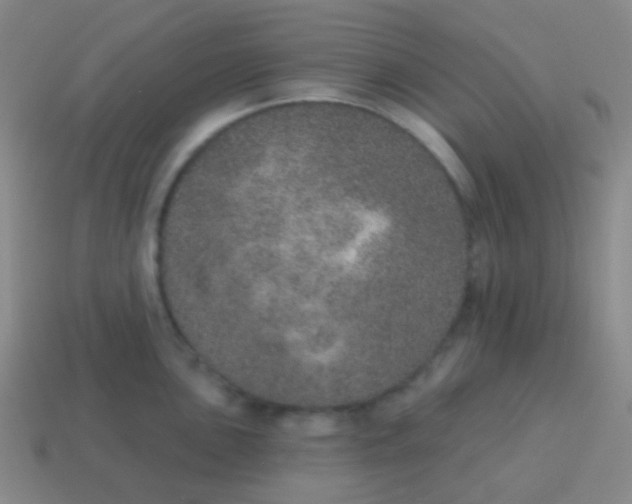 X0000115071051200911101259