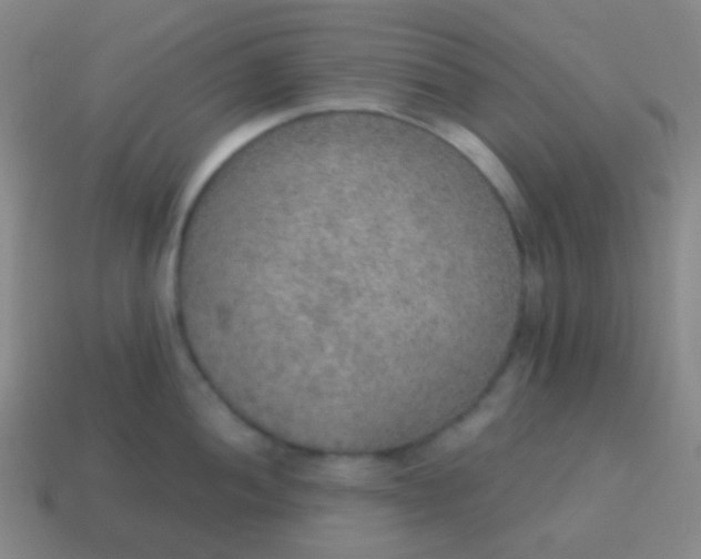 X0000115071052200911101259
