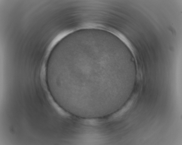 X0000115071053200911101259
