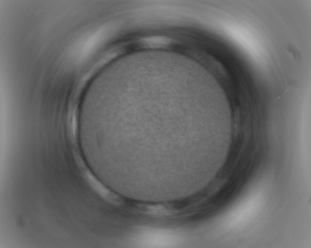 X0000115071054200911101259