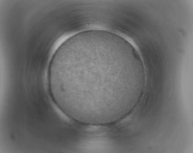 X0000115071056200911101259