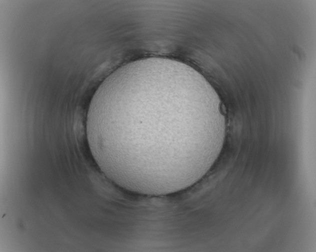 X0000115071058200911101258