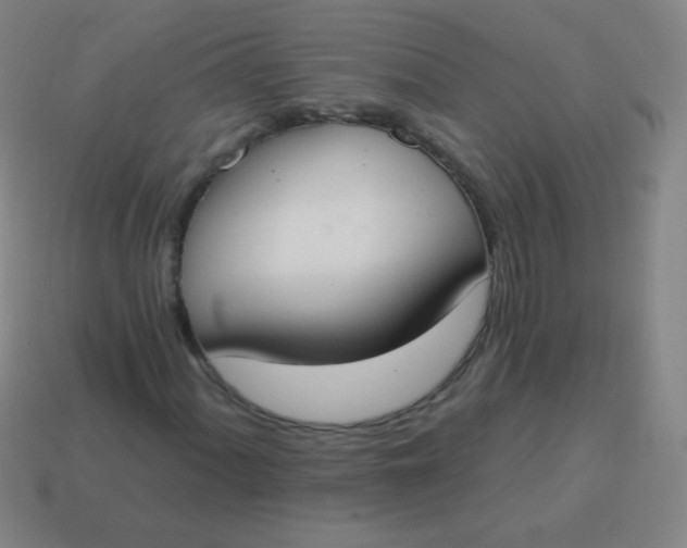 X0000115071060200911101258