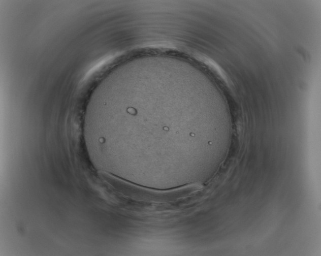 X0000115071064200911101258