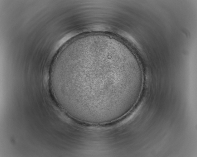 X0000115071065200911101258