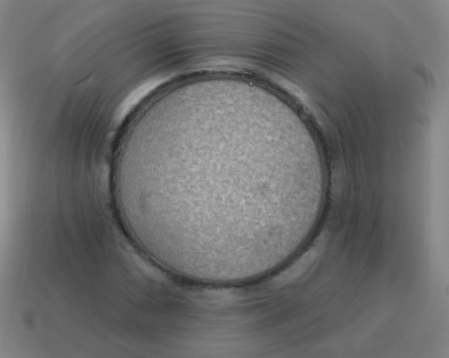 X0000115071066200911101258