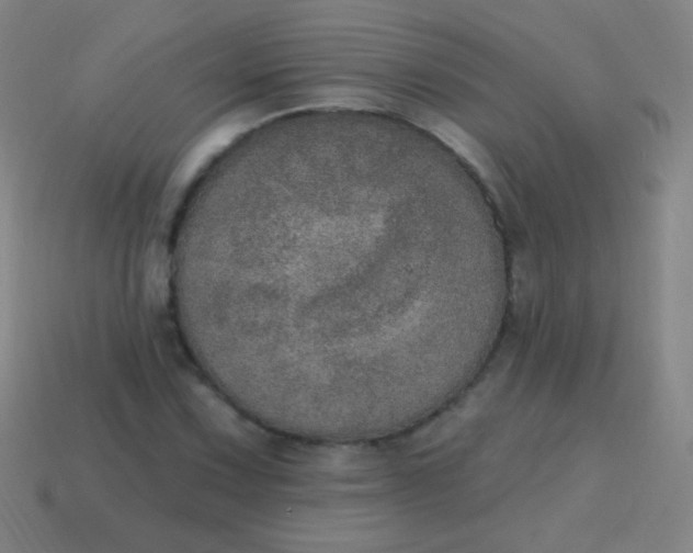 X0000115071067200911101258