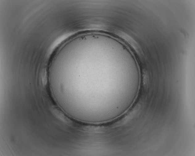 X0000115071069200911101258