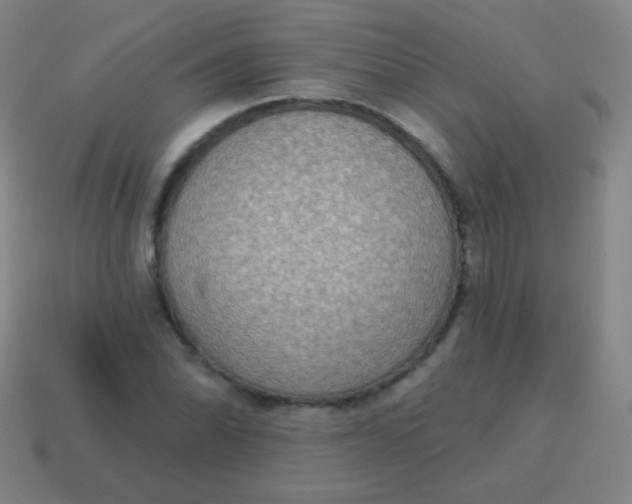 X0000115071070200911101258