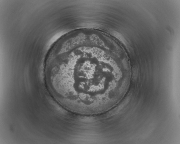 X0000115071071200911101258
