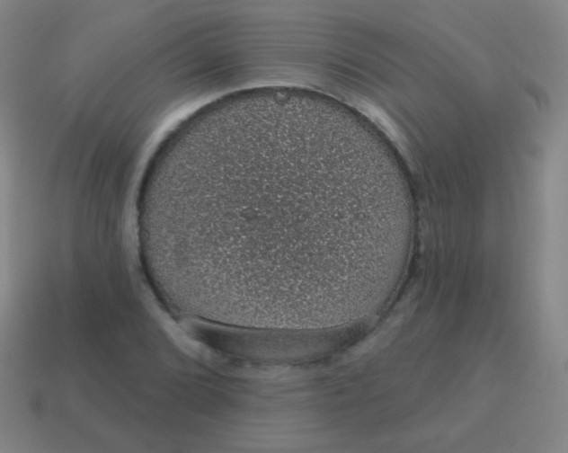 X0000115071072200911101258