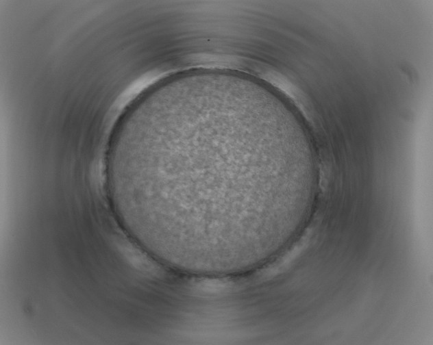 X0000115071074200911101258