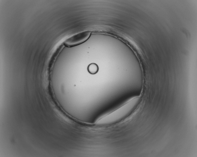 X0000115071075200911101258