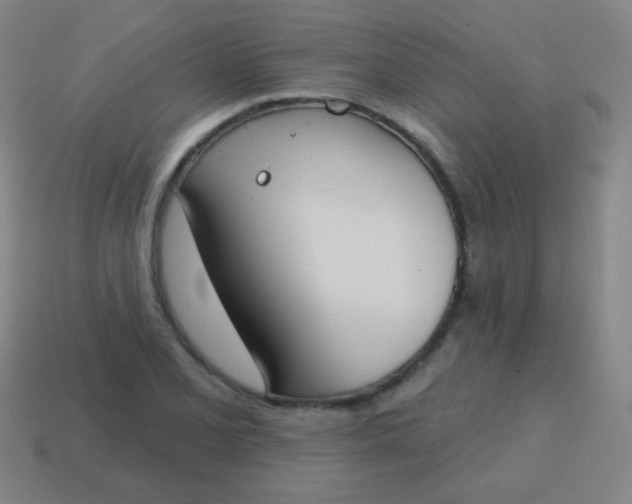 X0000115071077200911101258