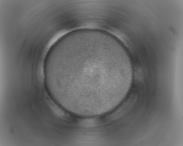 X0000115071078200911101258