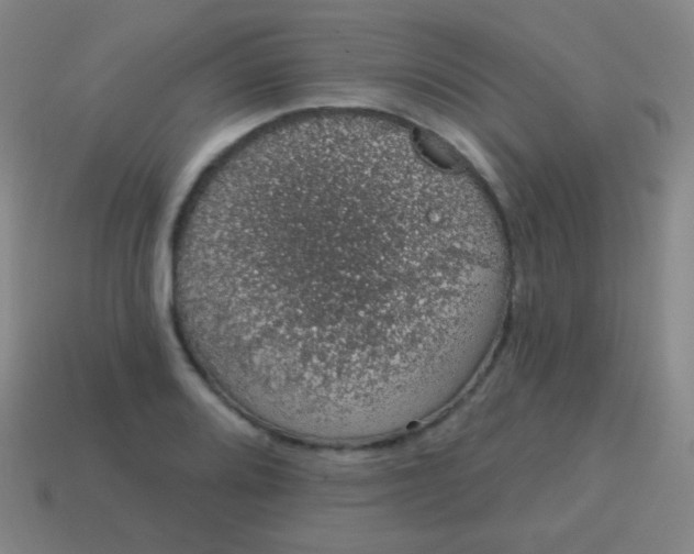 X0000115071080200911101258