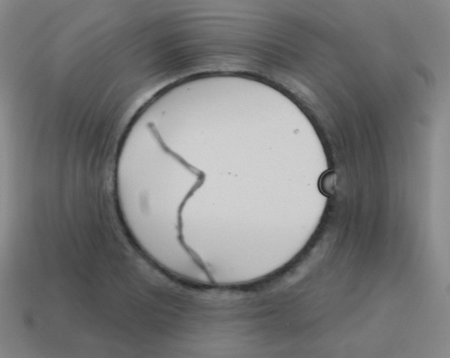 X0000115071081200911101258
