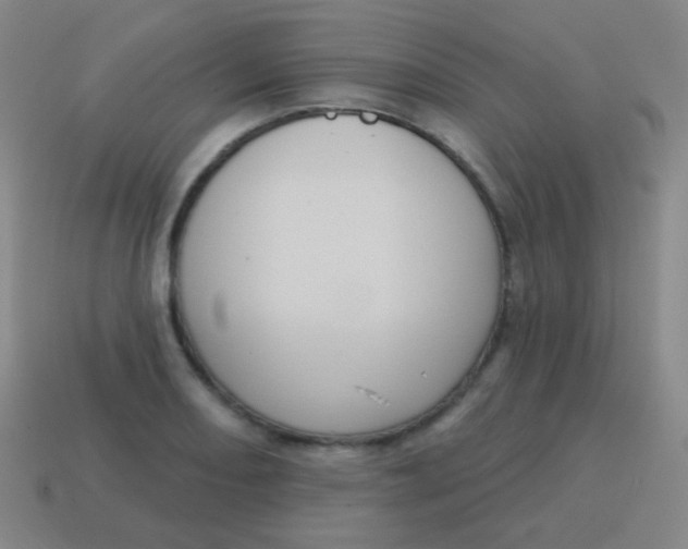 X0000115071082200911101258