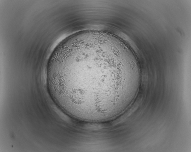 X0000115071083200911101258
