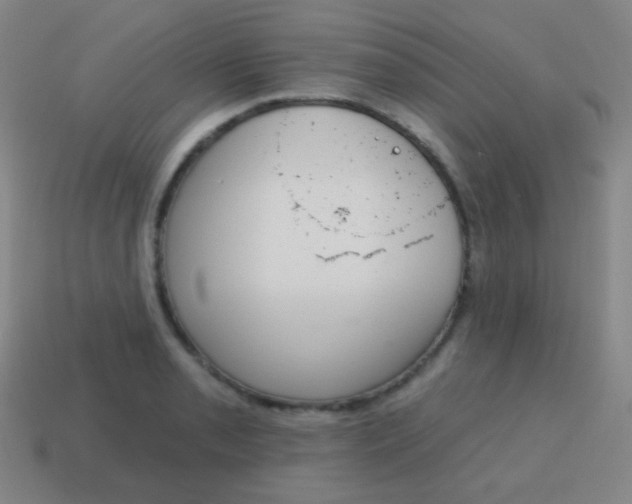 X0000115071085200911101258