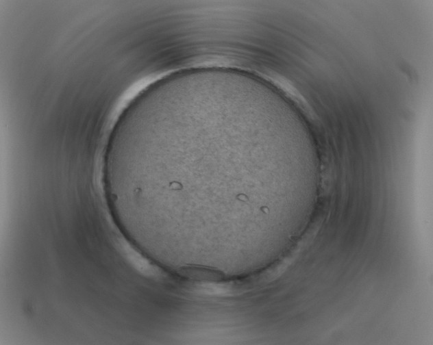 X0000115071086200911101258