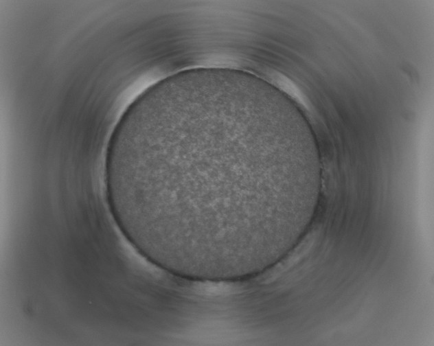 X0000115071087200911101258