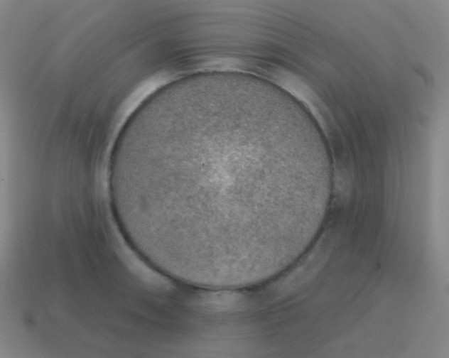 X0000115071090200911101258
