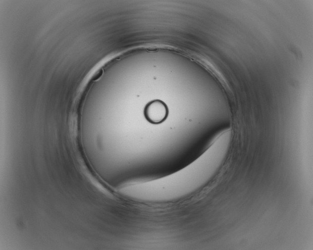 X0000115071092200911101258