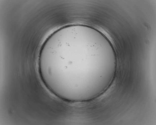 X0000115071093200911101258