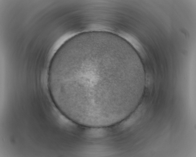 X0000115071094200911101257