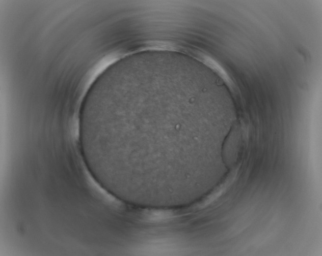 X0000115071095200911101257