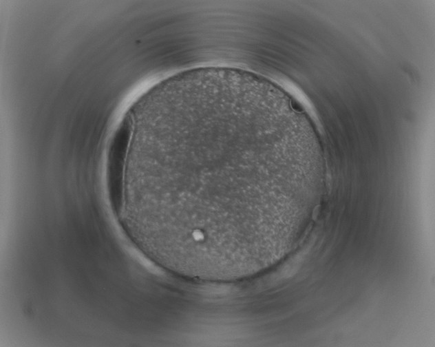 X0000115071096200911101257