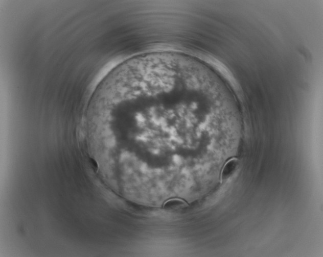 X0000115071097200911101257