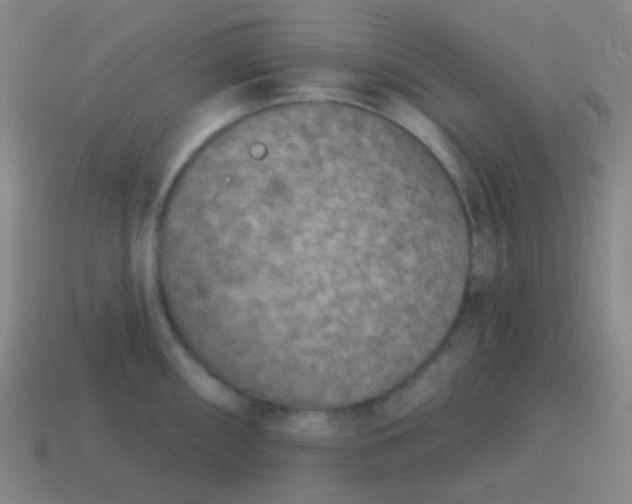 X0000115071098200911101257