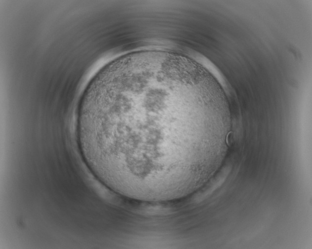 X0000115071099200911101257