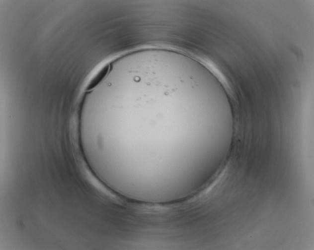 X0000115071100200911101257