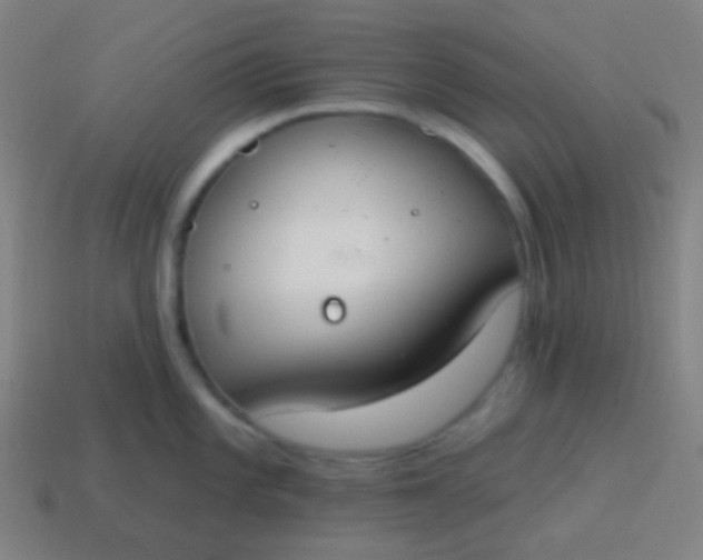 X0000115071101200911101257